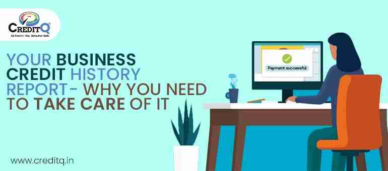 Your Business Credit History Report - Why You Need to Take Care of It ?