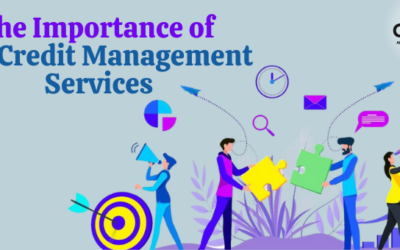 The Importance of B2B Credit Management Services