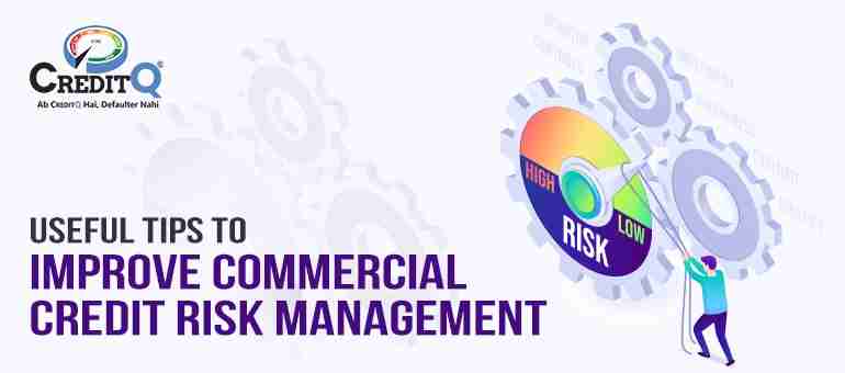 Useful Tips to Improve Commercial Credit Risk Management