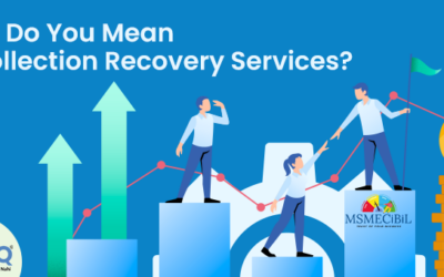What Do You Mean By Collection Recovery Services?