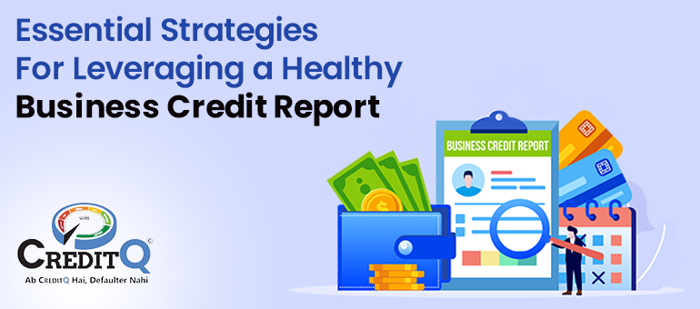 Essential Strategies For Leveraging a Healthy Business Credit Report