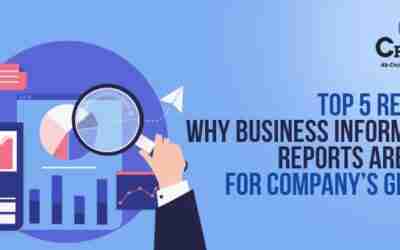 Top 5 Reasons Why Business Information Reports are Vital for Company’s Growth