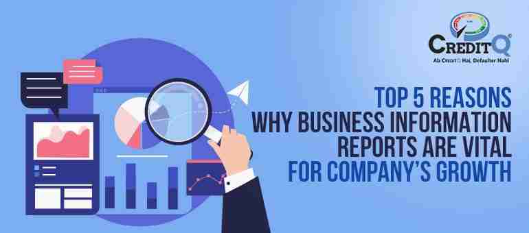 Top 5 Reasons why Business Information Reports are Vital for Company’s Growth