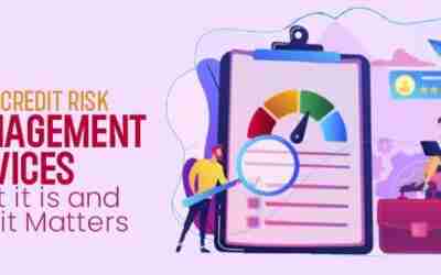 B2B Credit Risk Management Services: What it is and Why it Matters