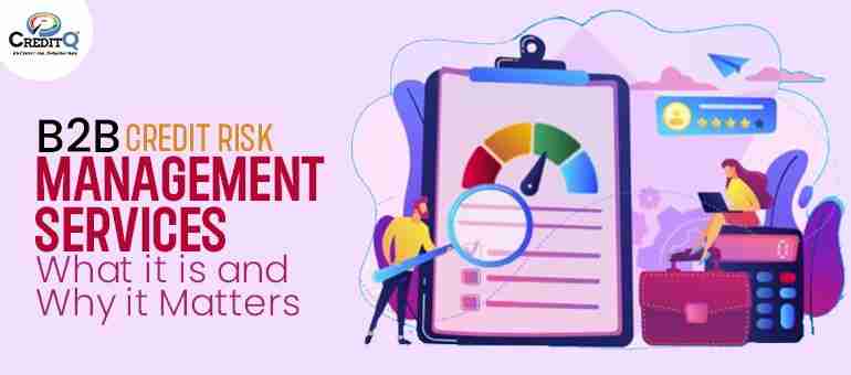 B2B Credit Risk Management Services: What it is and Why it Matters