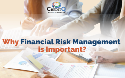 Why Financial Risk Management is Important?