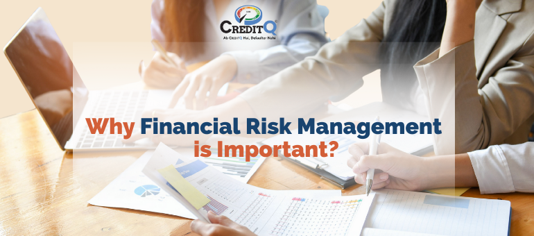 Why Financial Risk Management is Important?