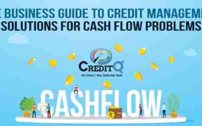 The Business Guide to Credit Management: Solutions for Cash Flow Problems