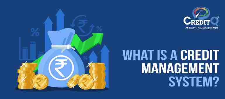 What is a Credit Management System?
