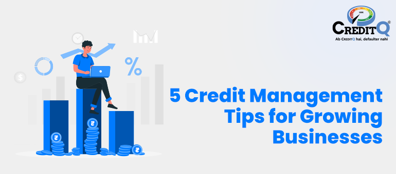 5 Credit Management Tips for Growing Businesses