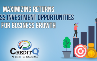 Maximizing Returns: Business Investment Opportunities for Business Growth
