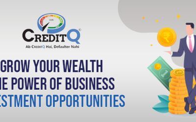 Grow Your Wealth: The Power of Business Investment Opportunities