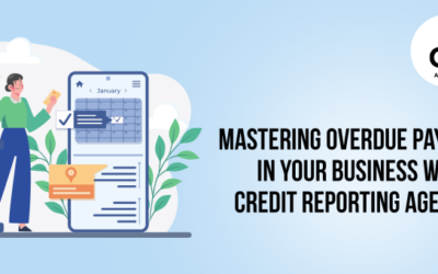 Mastering Overdue Payments in Your Business with Credit Reporting Agencies