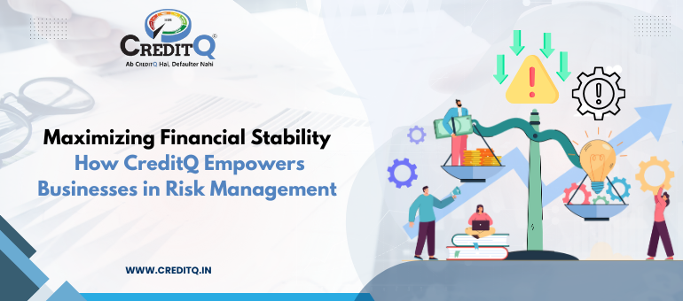 Maximizing Financial Stability: How CreditQ Empowers Businesses in Risk Management