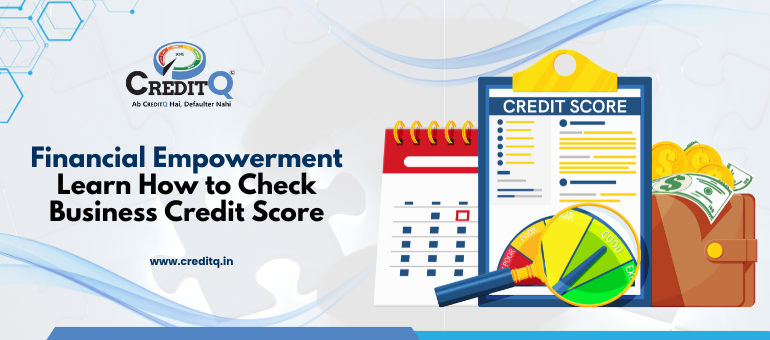 Financial Empowerment: Learn How to Check Business Credit Score