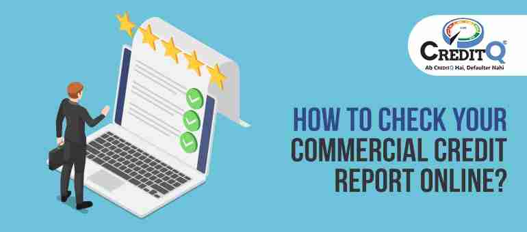 How to Check Your Commercial Credit Report Online?