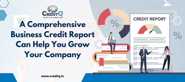 Company Credit Report