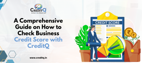 A Comprehensive Guide on How to Check Business Credit Score with CreditQ