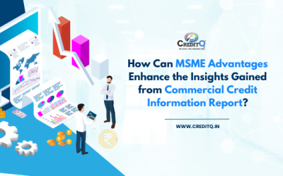 How Can MSME Advantages Enhance the Insights Gained from Commercial Credit Information Report?