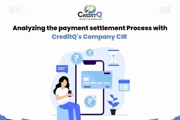 Analyzing the payment settlement process with CreditQ's Company CIR