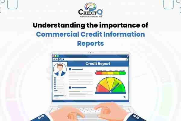 Understanding the importance of commercial credit information reports