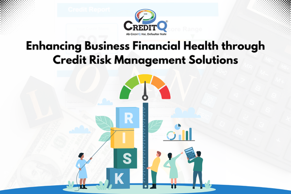 Enhancing Business Financial Health through Credit Risk Management Solutions