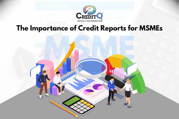 The Importance of Credit Reports for MSMEs