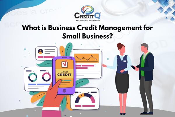 What is Business Credit Management for Small Business_