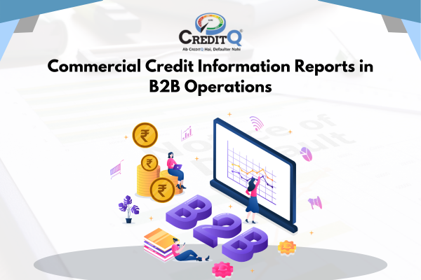 Commercial Credit Information Reports in B2B Operations