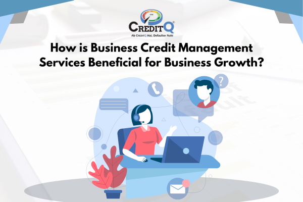 How is Business Credit Management Services Beneficial for Business Growth