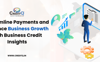 Streamline Payments and Enhance Business Growth with Business Credit Insights