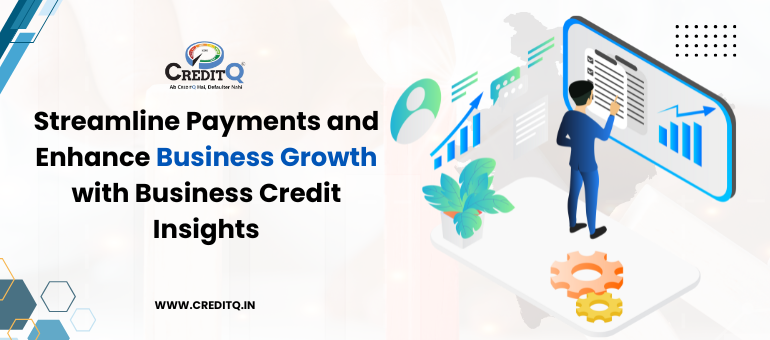 Streamline Payments and Enhance Business Growth with Business Credit Insights