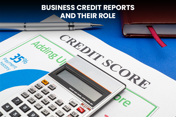 Business Credit Reports and Their Role