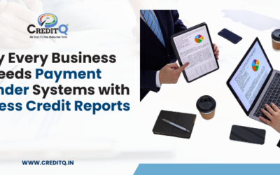 Why Every Business Needs Payment Reminder Systems with Business Credit Reports