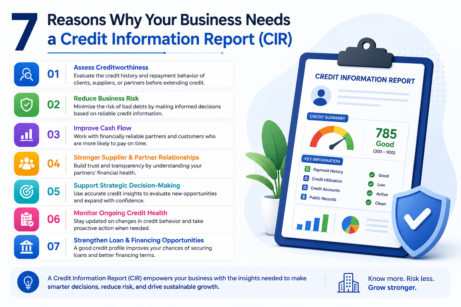 7 Reasons Why Your Business Needs a Credit Information Report (CIR)