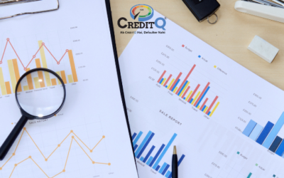 How a Business Credit Report Helps You Avoid Payment Defaults and Financial Risks