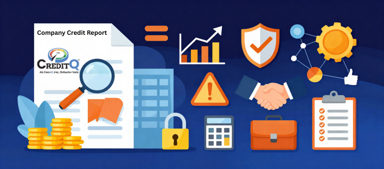 What Is a Company Credit Report and Why Is It Essential for Business Risk Assessment