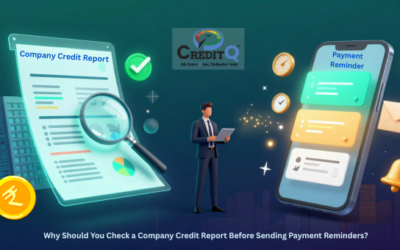 Why Should You Check a Company Credit Report Before Sending Payment Reminders?