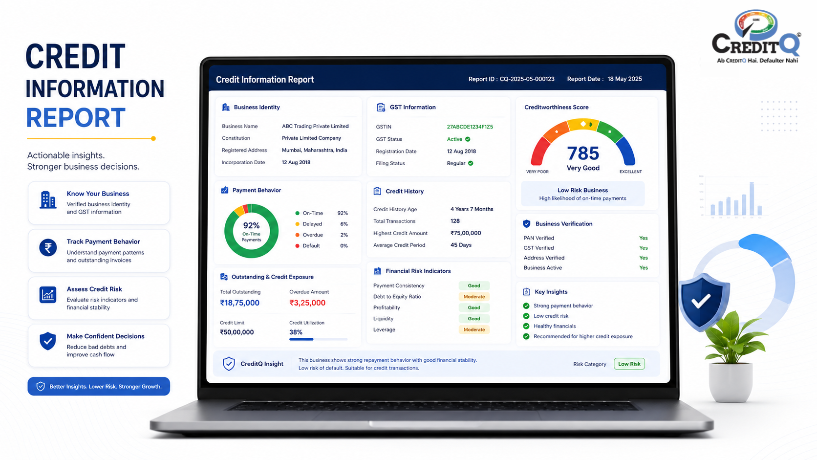 Credit Information Report dashboard showing business credit information