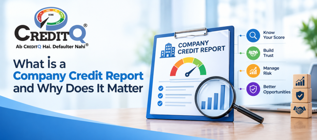 What Is a Company Credit Report and Why Does It Matter