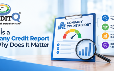 What Is a Company Credit Report and Why Does It Matter?